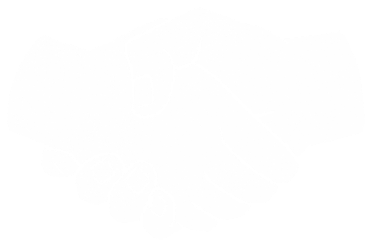 texture handshakex